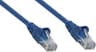 Cable UTP Intellinet 342414 Categoria 6 100Pies/30 Metros Color Azul