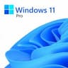 MICROSOFT WINDOWS 11 PROFESSIONAL 64 BITS OEM -  SOLO CON EQUIPO NUEVO