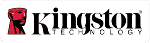 Logo Kingston